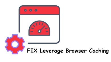 رفع خطای Leverage Browser Caching در وردپرس